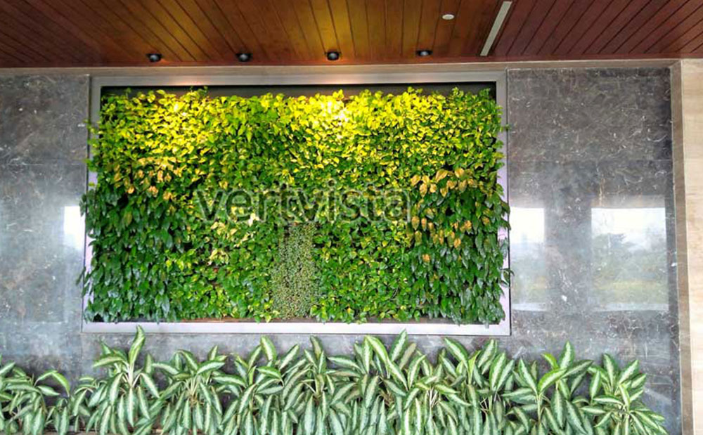 indoor green wall mumbai