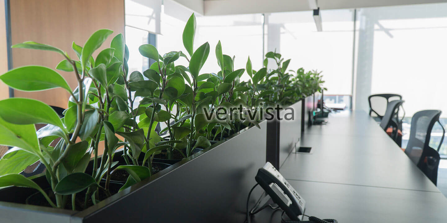 Indoor Plants Banner - Vertvista