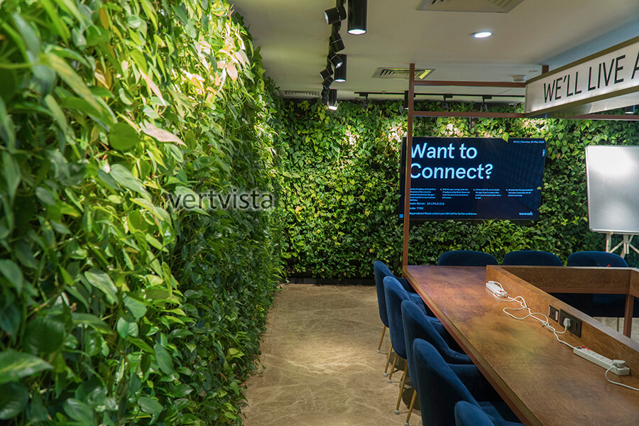 Indoor Vertical Gardens, Indoor Living Green Wall Experts