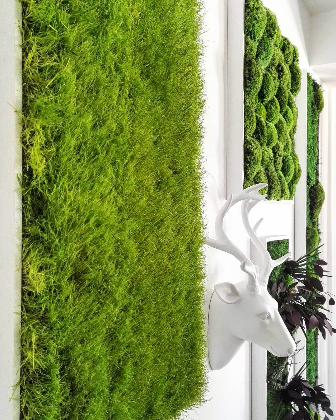 Preserved Moss and Plant Products